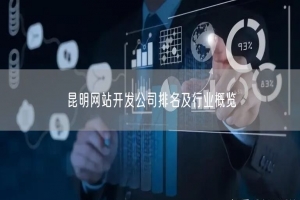 昆明网站开发公司排名及行业概览